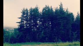 Утринна мъгла