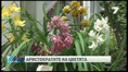 Изложба на орхидеи в столицата